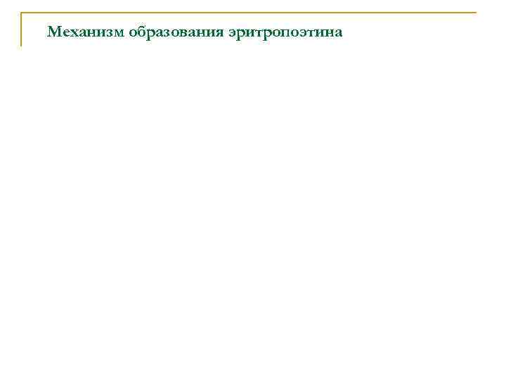 Механизм образования эритропоэтина Механизм образования эритропоэтина