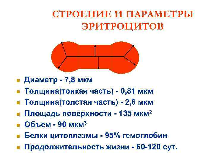 СТРОЕНИЕ И ПАРАМЕТРЫ ЭРИТРОЦИТОВ n Диаметр - СТРОЕНИЕ И ПАРАМЕТРЫ ЭРИТРОЦИТОВ n Диаметр -