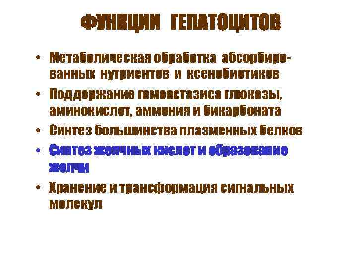  ФУНКЦИИ ГЕПАТОЦИТОВ • Метаболическая обработка абсорбиро-  ванных нутриентов и ксенобиотиков • Поддержание