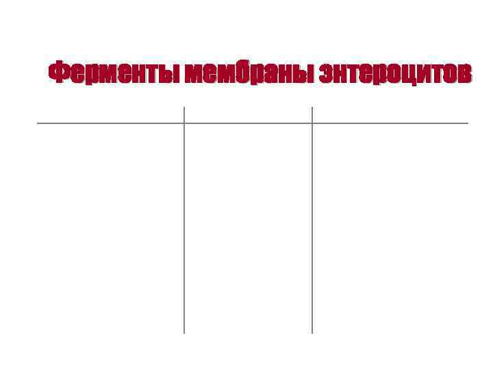 Ферменты мембраны энтероцитов 