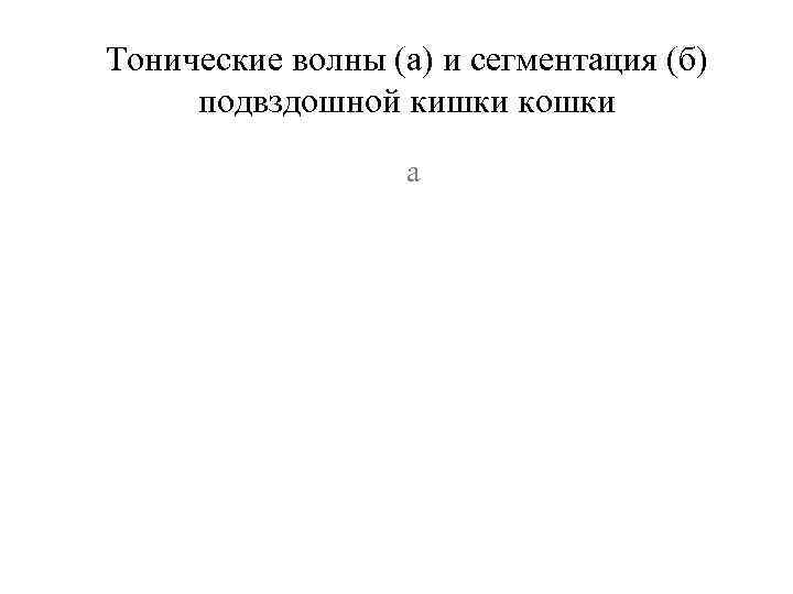 Тонические волны (а) и сегментация (б) подвздошной кишки кошки    а 