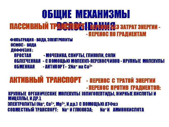   ОБЩИЕ МЕХАНИЗМЫ   ВСАСЫВАНИЯ ПАССИВНЫЙ ТРАНСПОРТ - ПЕРЕНОС БЕЗ ЗАТРАТ ЭНЕРГИИ