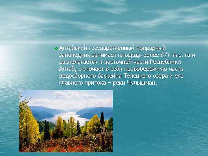 v Алтайский государственный природный  заповедник занимает площадь более 871 тыс. га и 
