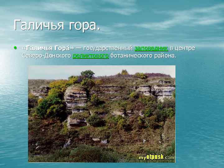 Галичья гора.  •  «Га личья Гора » — государственный заповедник в центре