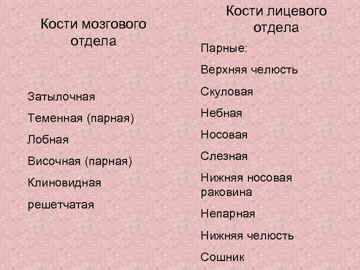 Кости лицевого Кости мозгового отдела Парные: Кости лицевого Кости мозгового отдела Парные: