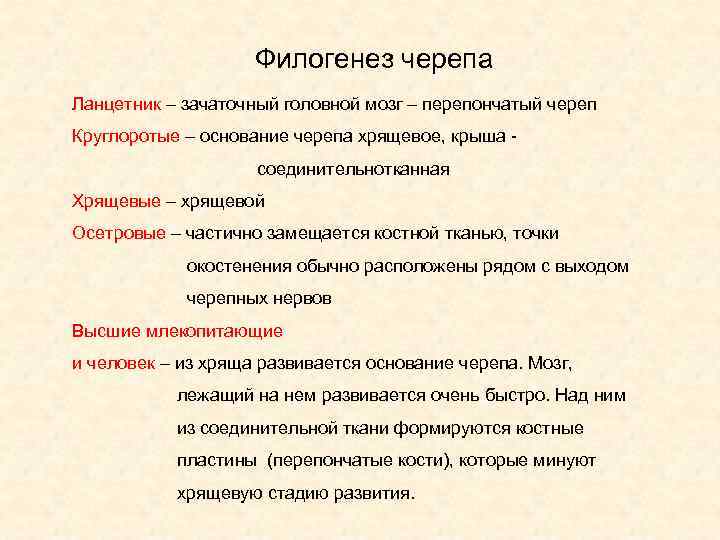 Филогенез черепа Ланцетник – зачаточный головной мозг – перепончатый череп Филогенез черепа Ланцетник – зачаточный головной мозг – перепончатый череп