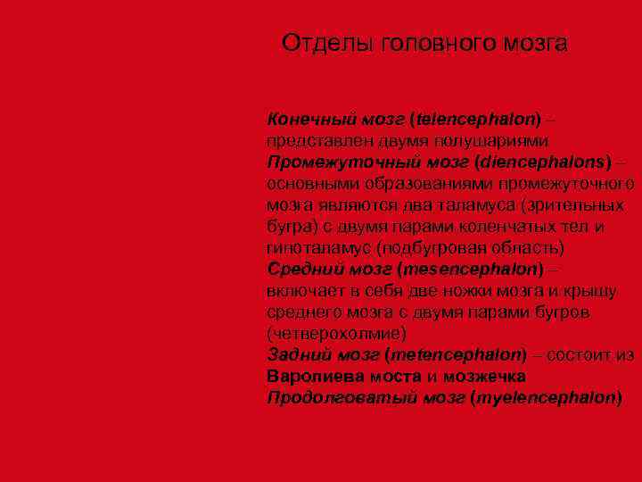  Отделы головного мозга Конечный мозг (telencephalon) – представлен двумя полушариями Промежуточный мозг (diencephalons)