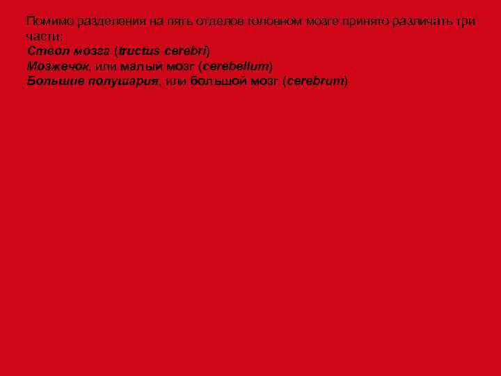 Помимо разделения на пять отделов головном мозге принято различать три части: Ствол мозга (tructus