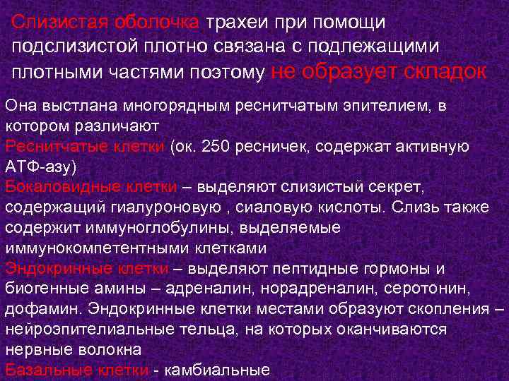 Слизистая оболочка трахеи при помощи подслизистой плотно связана с подлежащими плотными частями поэтому не