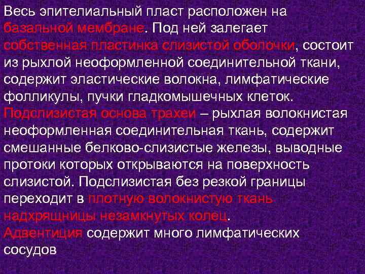 Весь эпителиальный пласт расположен на базальной мембране. Под ней залегает собственная пластинка слизистой оболочки,