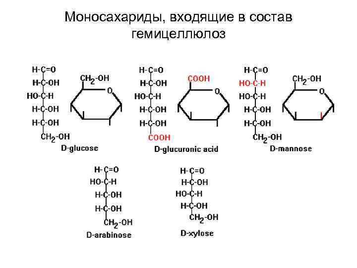 6 входящие в состав. Гемицеллюлоза структурная формула. Гемицеллюлоза состав. Гемми Целлюлоза формула. Эмпирическая формула гемицеллюлоз.