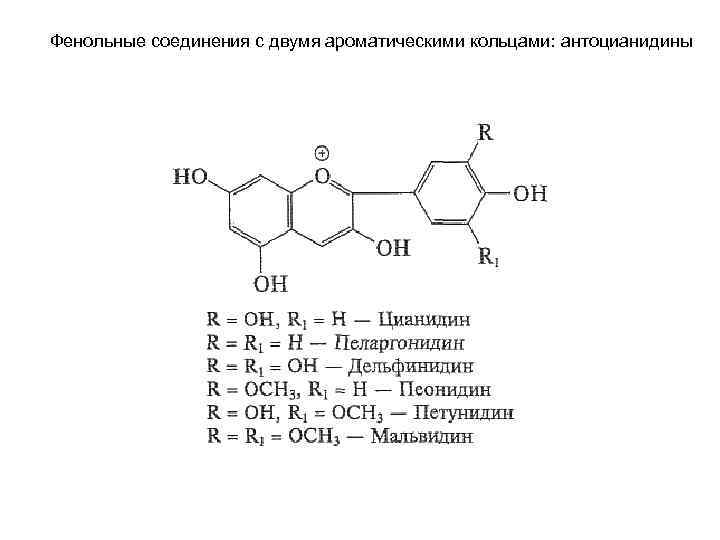 Фенольные соединения фото