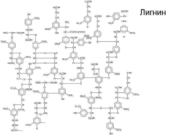 Лигнин 