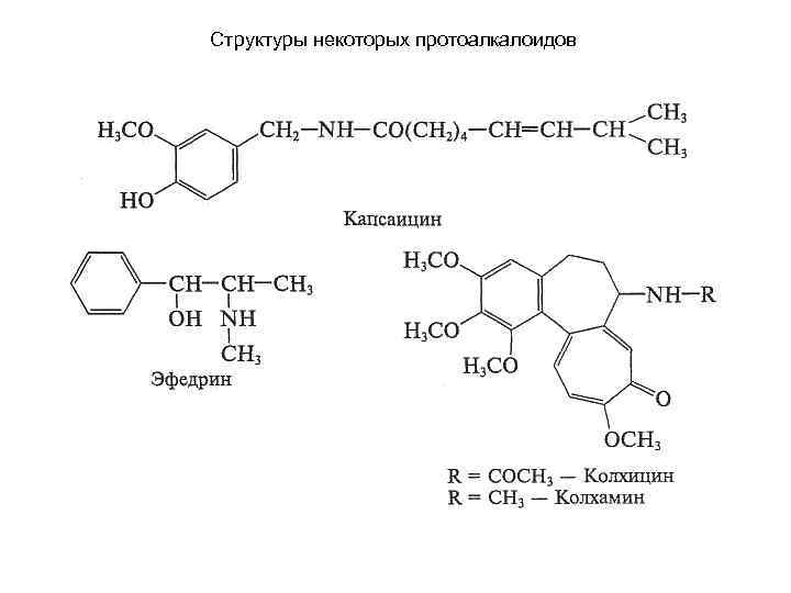 Структуры некоторых протоалкалоидов 