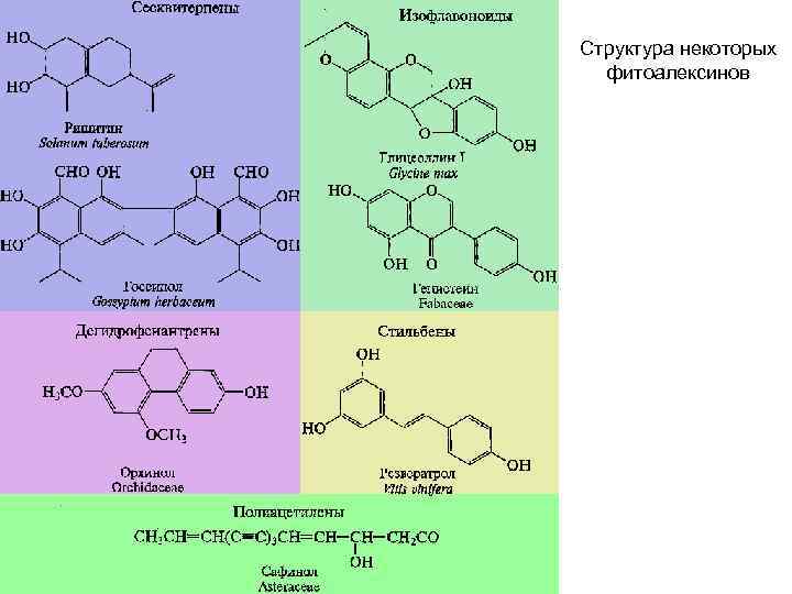 Структура некоторых  фитоалексинов 