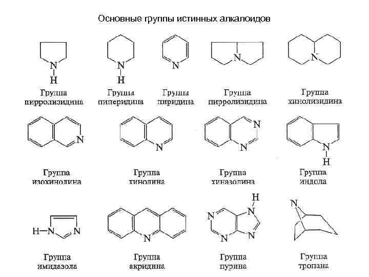 Основные группы истинных алкалоидов 