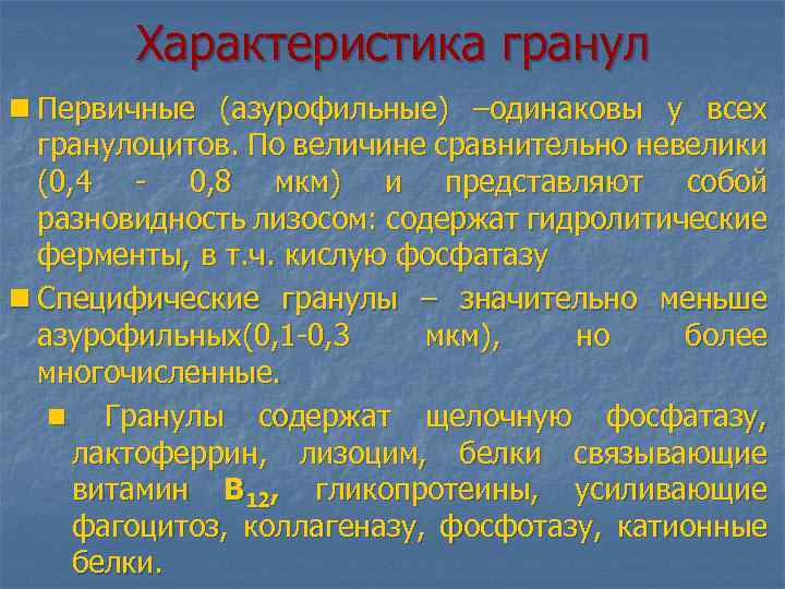Характеристика гранул n Первичные (азурофильные) –одинаковы у всех гранулоцитов. По величине сравнительно невелики (0,