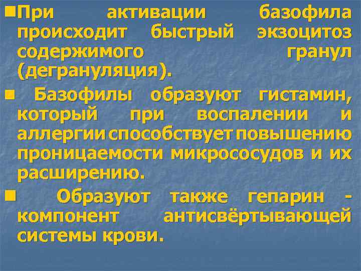 n. При активации базофила происходит быстрый экзоцитоз содержимого гранул (дегрануляция). n Базофилы образуют гистамин,