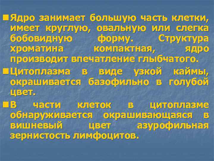 n Ядро занимает большую часть клетки, имеет круглую, овальную или слегка бобовидную форму. Структура