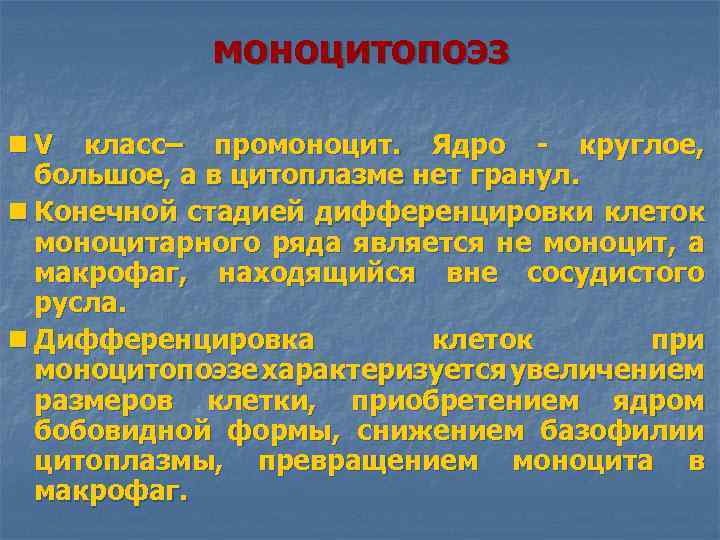 моноцитопоэз n V класс– промоноцит. Ядро - круглое, большое, а в цитоплазме нет гранул.