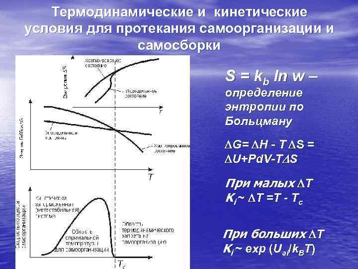   Термодинамические и кинетические условия для протекания самоорганизации и    самосборки