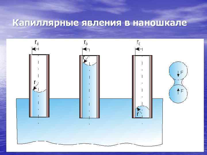 Капиллярные жидкости