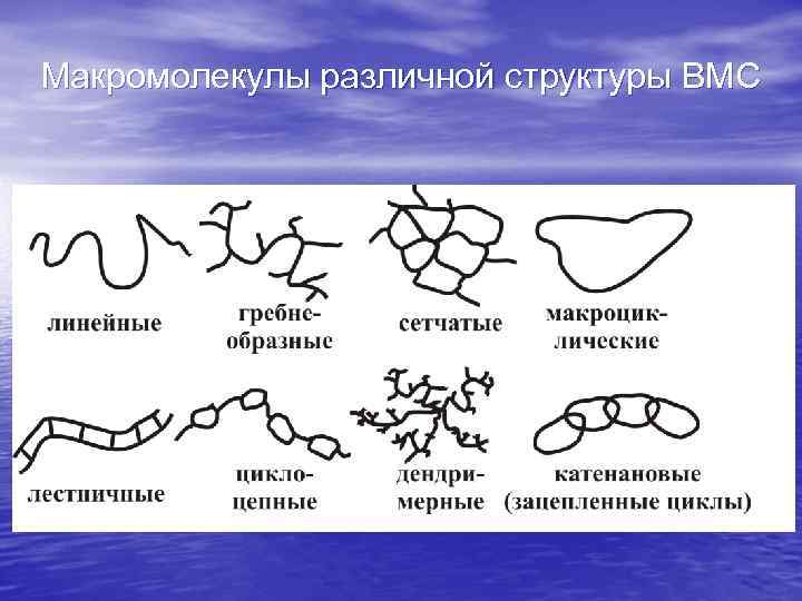 Имеют разный состав. Строение макромолекул ВМС. Структура макромолекул. Строение макромолекулы. Тип строения макромолекул.