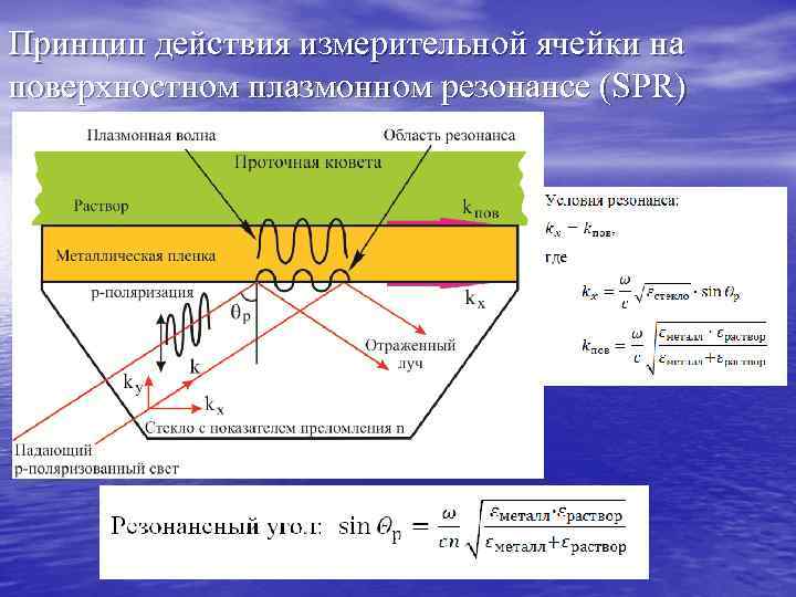Принцип действия измерительной ячейки на поверхностном плазмонном резонансе (SPR) Принцип действия измерительной ячейки на поверхностном плазмонном резонансе (SPR)
