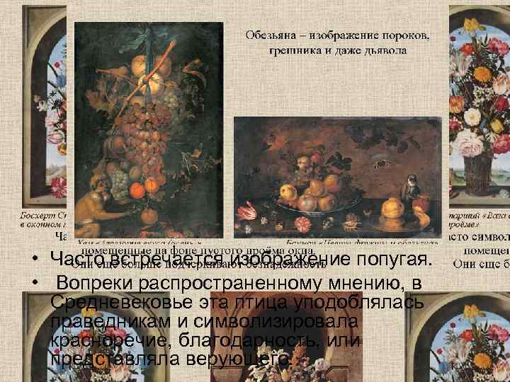  • Часто встречается изображение попугая.  •  Вопреки распространенному мнению, в 