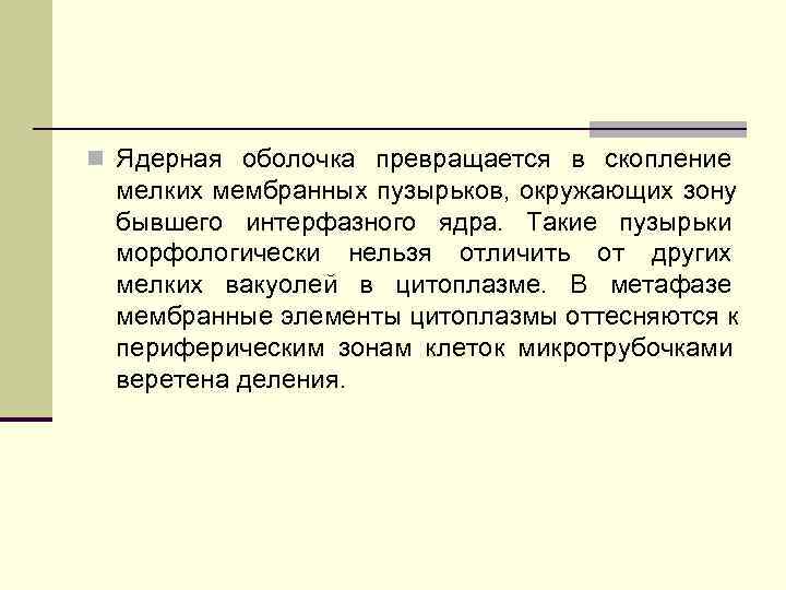 n Ядерная оболочка превращается в скопление мелких мембранных пузырьков, окружающих зону бывшего n Ядерная оболочка превращается в скопление мелких мембранных пузырьков, окружающих зону бывшего