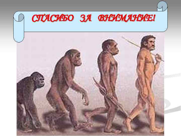 СПАСИБО ЗА ВНИМАНИЕ! СПАСИБО ЗА ВНИМАНИЕ!