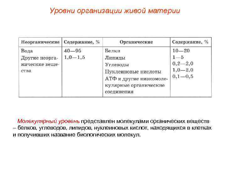    Уровни организации живой материи  Молекулярный уровень представлен молекулами органических веществ