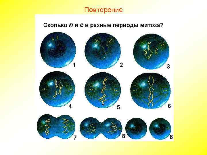 Повторение 