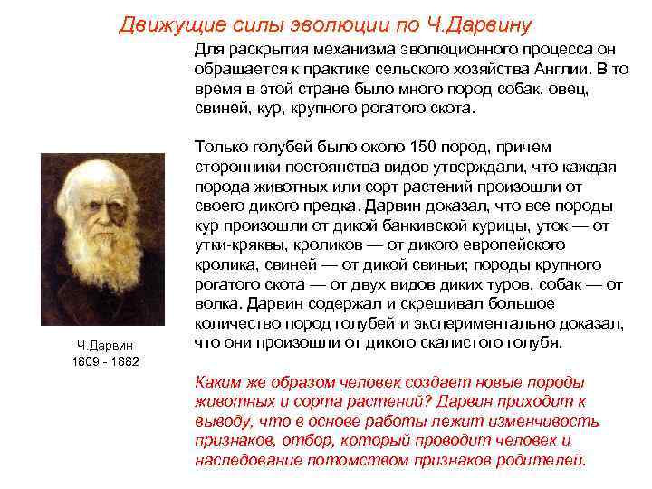 Движущие силы эволюции по Ч. Дарвину Для раскрытия механизма эволюционного процесса он обращается к