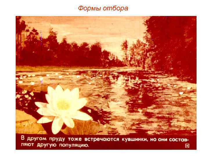 Формы отбора 