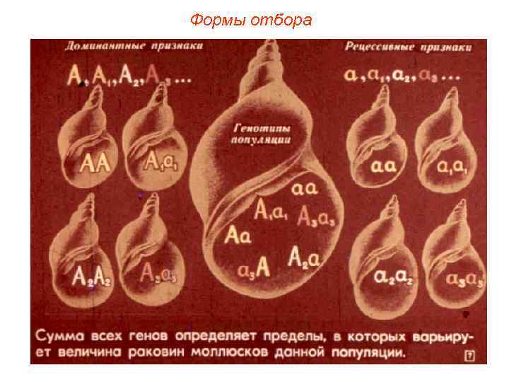 Формы отбора 