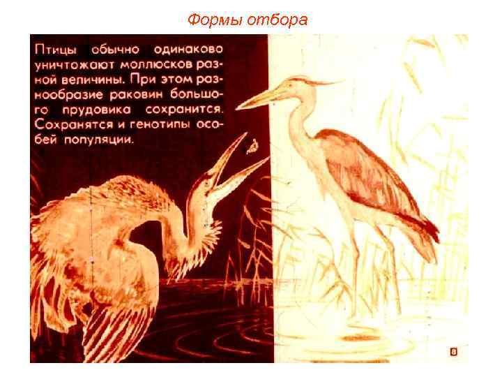 Формы отбора 