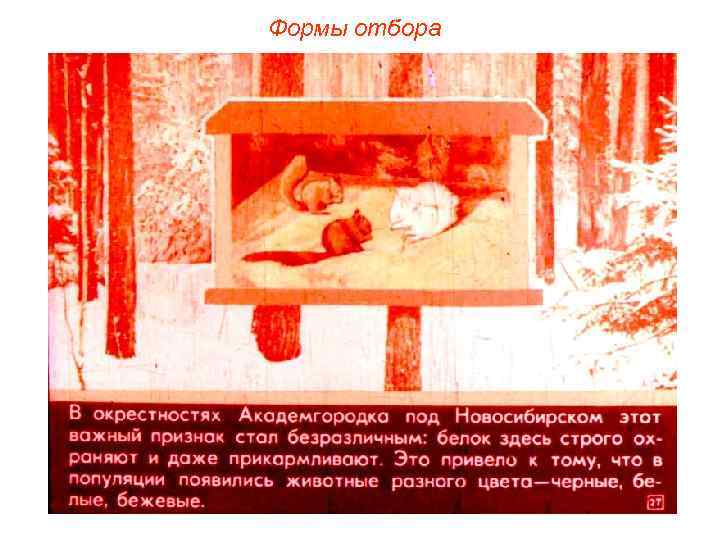 Формы отбора 