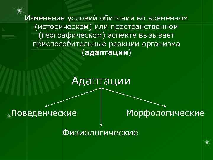  Изменение условий обитания во временном (историческом) или пространственном (географическом) аспекте вызывает приспособительные реакции