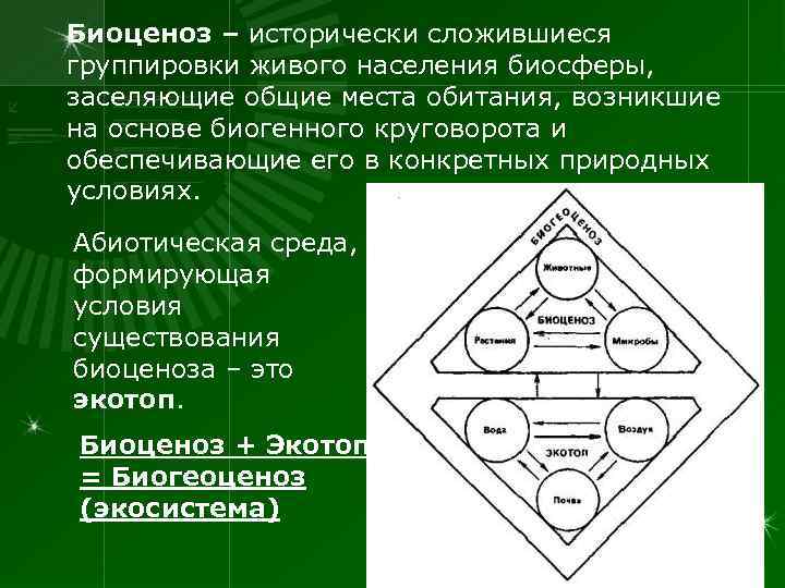 Биоценоз – исторически сложившиеся группировки живого населения биосферы, заселяющие общие места обитания, возникшие на