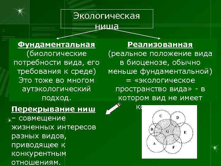    Экологическая    ниша  Фундаментальная   Реализованная 
