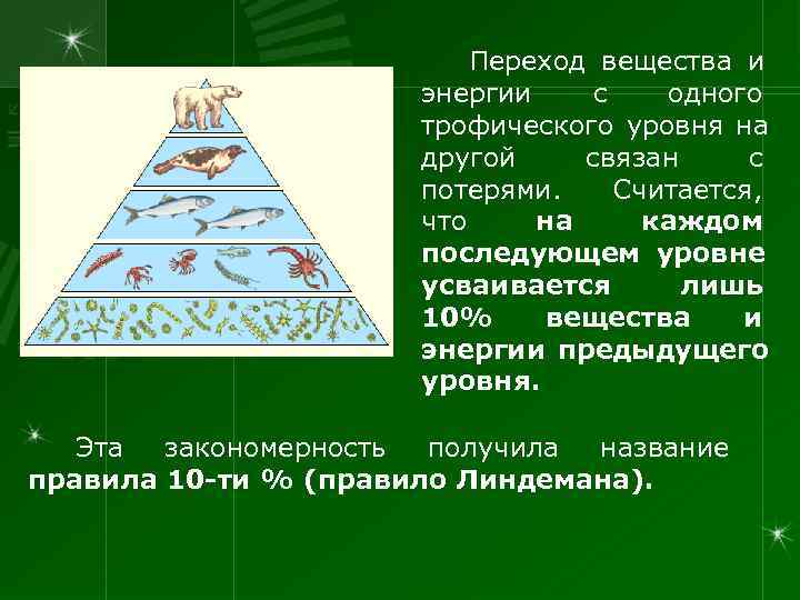      Переход вещества и    энергии с 