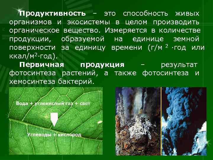  Продуктивность – это способность живых организмов и экосистемы в целом производить органическое вещество.