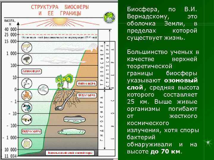 Биосфера, по В. И. Вернадскому,  это оболочка Земли, в пределах которой существует жизнь.