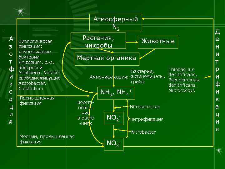        Атмосферный    N 2 