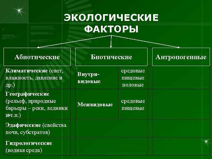      ЭКОЛОГИЧЕСКИЕ     ФАКТОРЫ Абиотические  