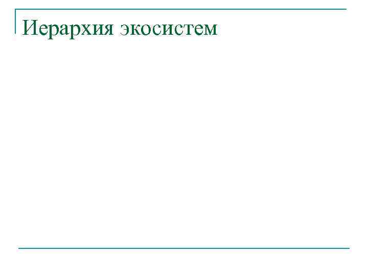 Иерархия экосистем 