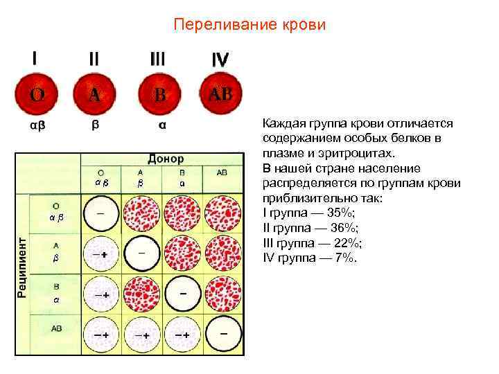 Переливание крови   Каждая группа крови отличается   содержанием особых белков в
