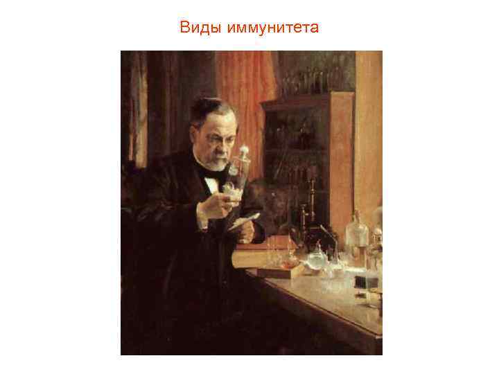 Виды иммунитета 