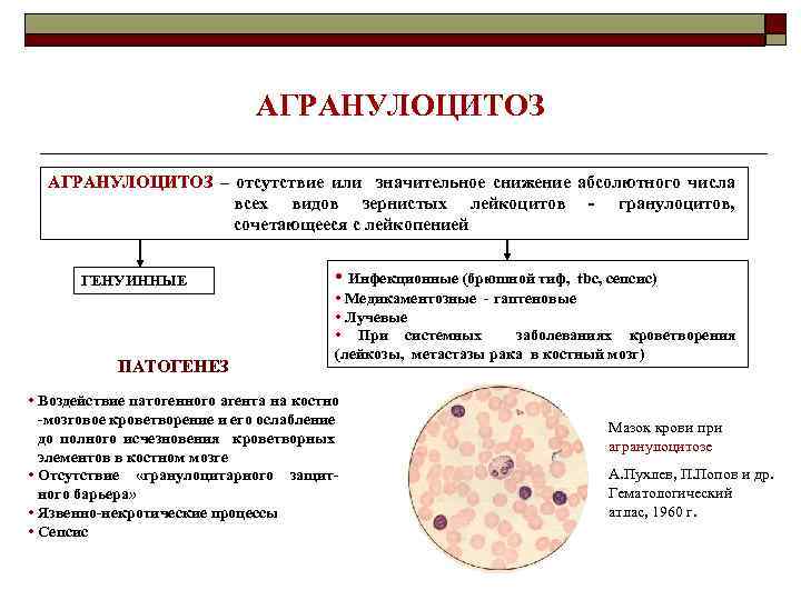 АГРАНУЛОЦИТОЗ – отсутствие или значительное снижение абсолютного числа всех видов зернистых лейкоцитов - гранулоцитов,